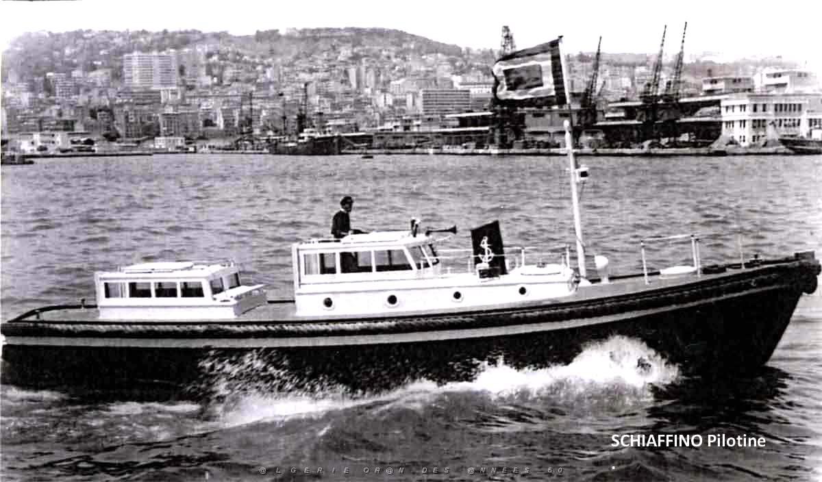 SCHIAFFINO PILOTINE.jpg